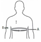 Sparco SJ Rib Size Guide