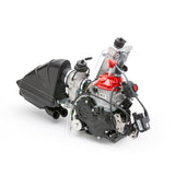 Rotax 125 Max Senior 2025