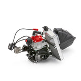 Rotax 125 Max Senior 2025